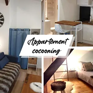  Appartement Pause Cocooning En Centre Historique France